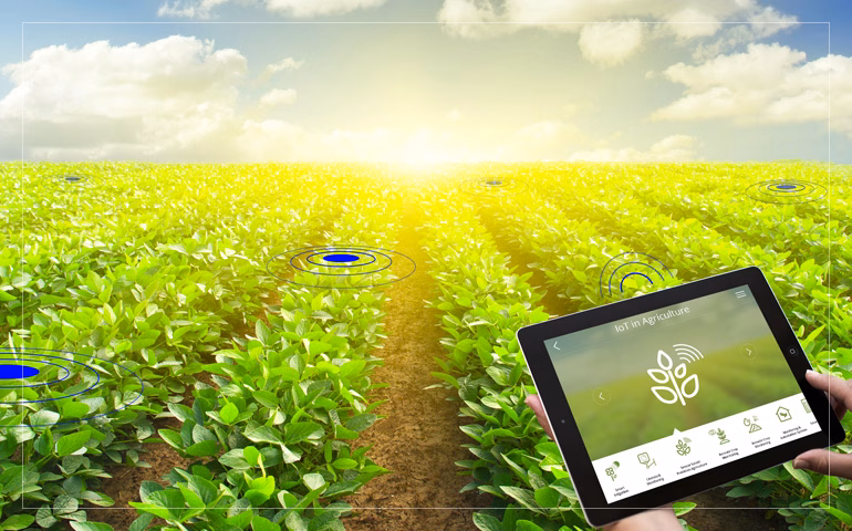 How to Build an ERP for Agriculture?