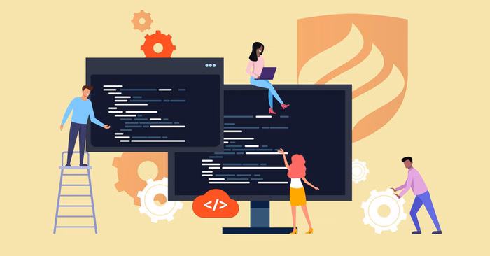 What are Expert Developers?