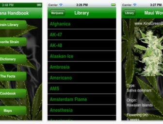 How to Build Marijuana Apps?
