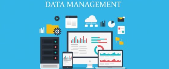 How to Perform Blockchain Master Data Management? - DevTeam.Space