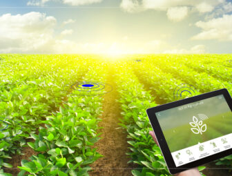 How to Build an ERP for Agriculture?