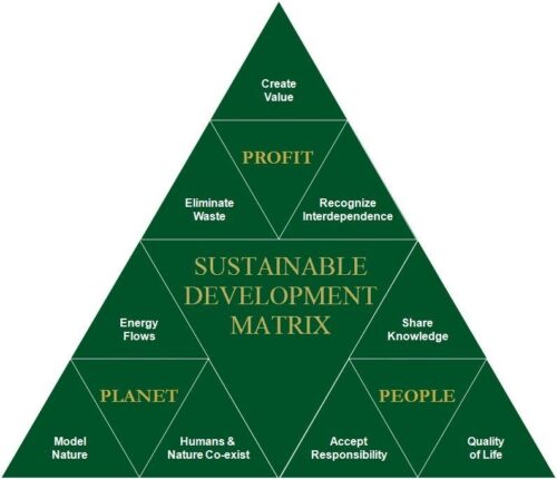 Sustainable Software Development: What & Why - DevTeam.Space