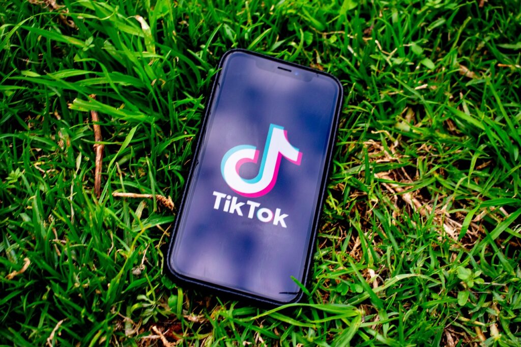 a cell phone on the green grass, the screen shows a large TikTok logo - DevTeam.Space
