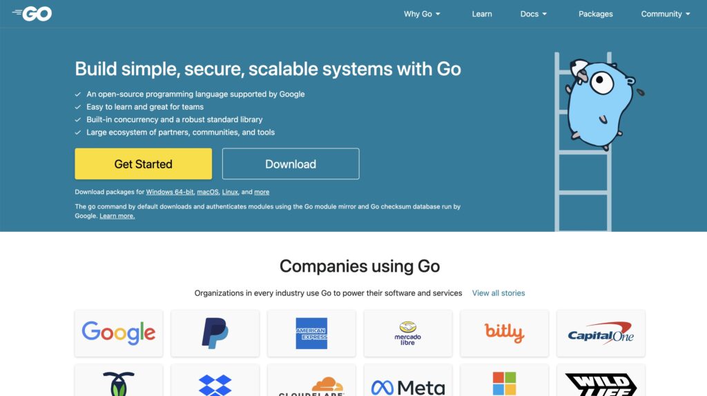 A visual picture of Go(Golang) programming language main page